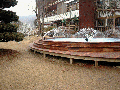 iris pool 92.gif